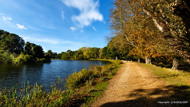 An Autumnal walk around Holkham Lake