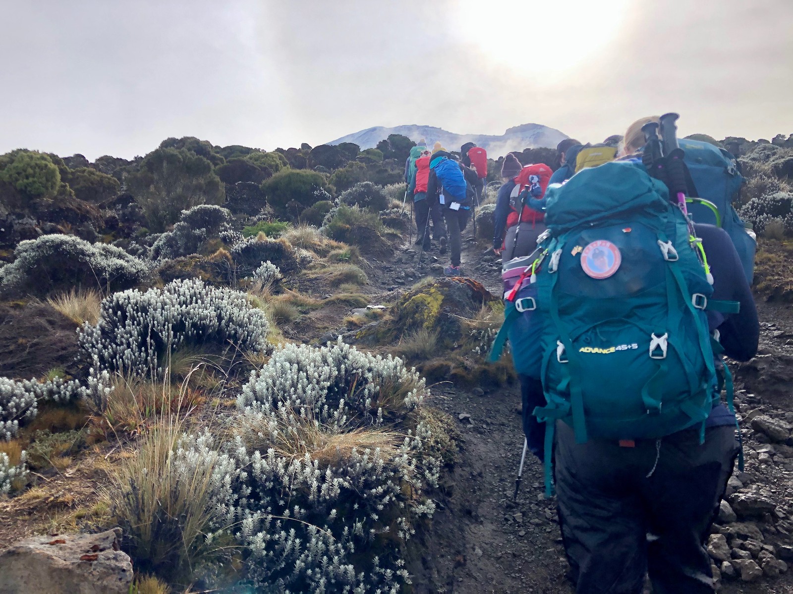 2020_EXPD_Kilimanjaro_Krista 2