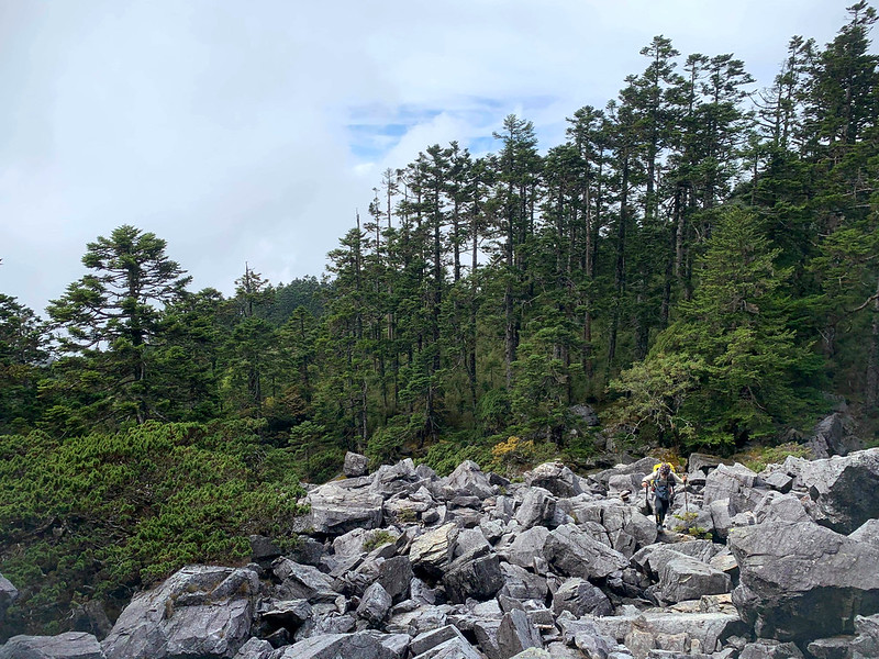 Mt. Baigu - 100 Peaks hike in Taiwan: a challenging hike to enjoy the rugged terrains and beautiful views