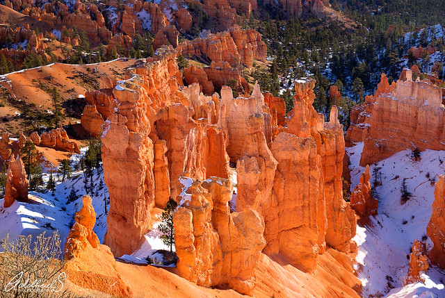Bryce Canyon in Snow and Sun (explored)