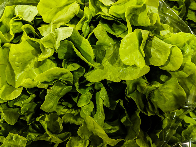 lettuce ------------ IMG_20180406_120606_edited