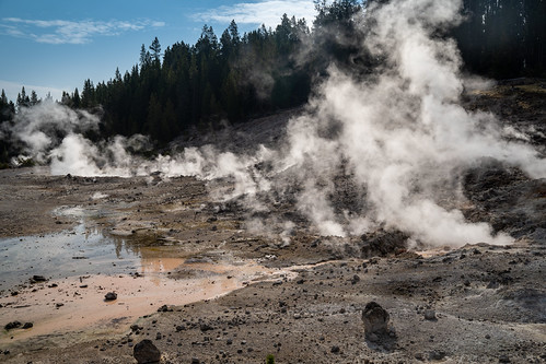 Porcelain Basin at in the morning, lots of steam in Norris Geyser Basin, Yellowstone National Park | by m01229