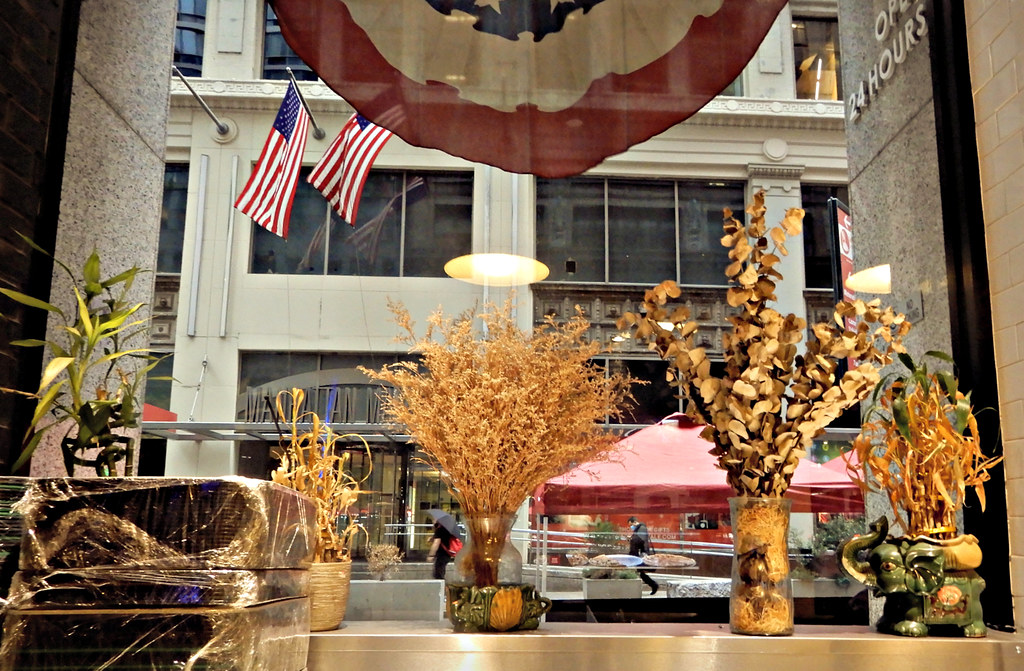 Manhattan in Autumn (View from Cafe)
