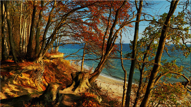 Autumn on the Baltic sea  coast