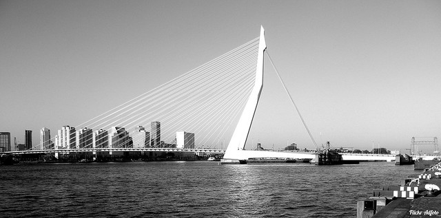 Rotterdam, Erasmusbridge