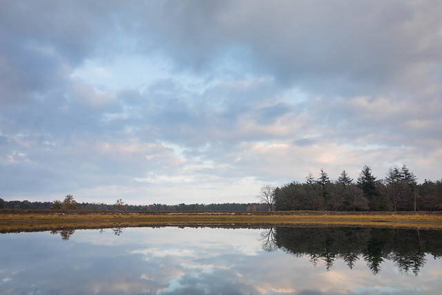 A giant mirror