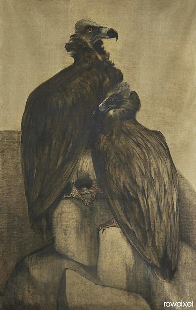 Two Arabian Vultures (1885–1917) print in high resolution by Theo van Hoytema. Original from The Rijksmuseum. Digitally enhanced by rawpixel.