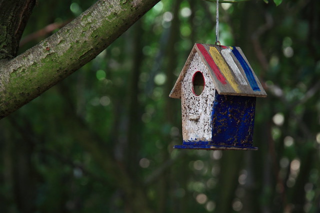 a little birdhouse in your soul