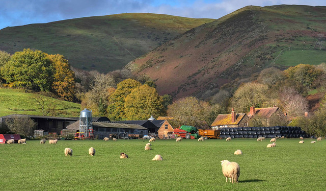 Farm at Little Stretton, Shropshire