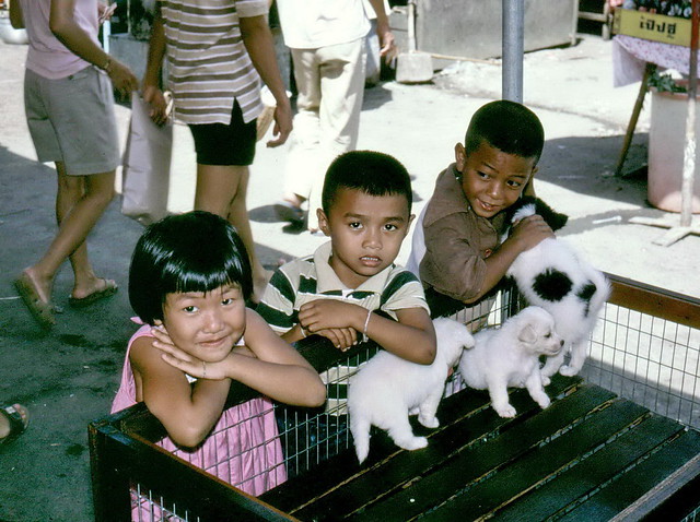 gm_01726 Bangkok Weekend Market Pets 1975