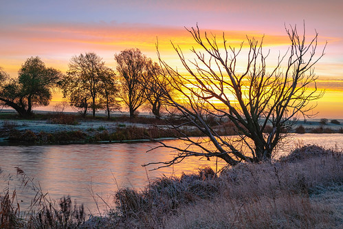 landschaft landscape nikond850 sunrise morningmood saxonyanhalt nature naturelover river sonnenaufgang colors