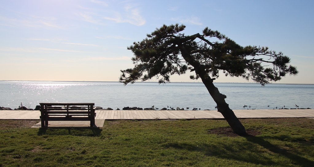 Tanner Park