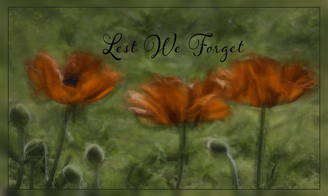 Remembrance-HiderVal-2-Lest We Forget