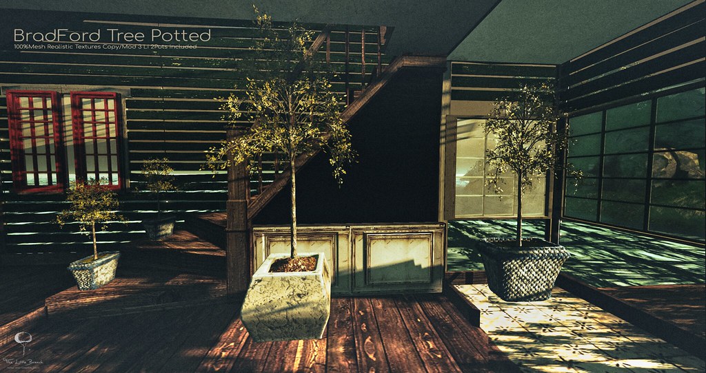 The Little Branch - Bradford Tree {Potted} - Shiny Shabby