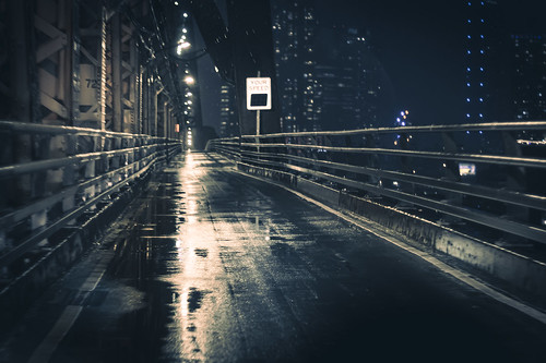 Night On The Queensboro Bridge | Don't drive and shoot! | Flickr