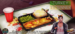 Junk Food - Turkey Tv Dinner