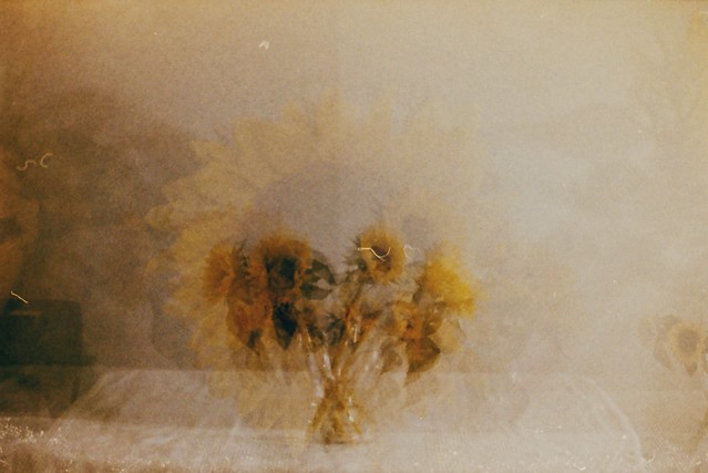 Expired Lomography film - home experiment