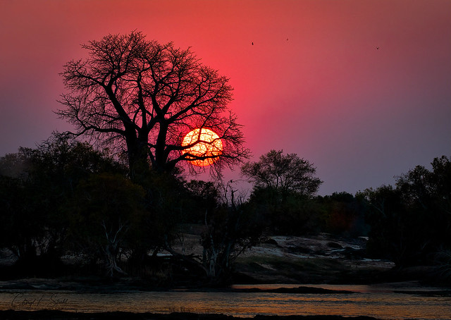 Sun Setting on the Zambezi River  (in Explore)