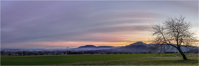 Morgenlicht an der Limburg(BW)