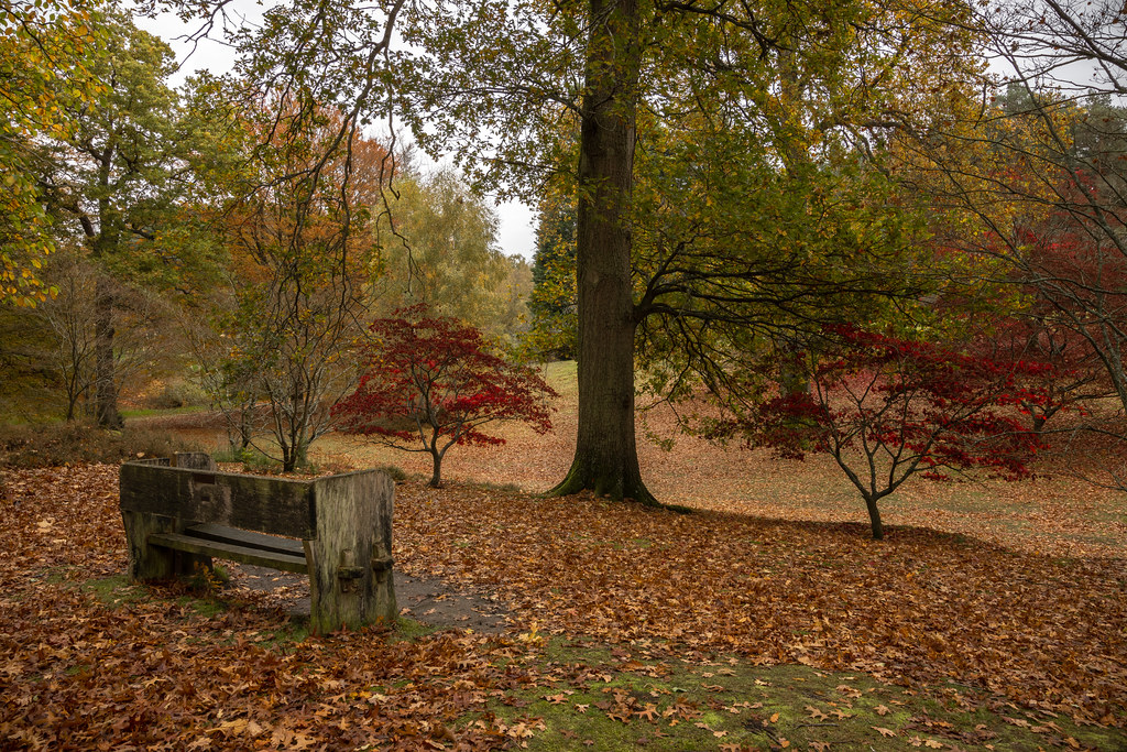 Autumn Colours - Virginia Water - UK | Autumn in full colour… | Flickr