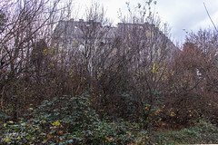 Herbstimpressionen Starhemberg
