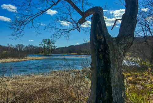 on common ground grounds ringwood state park nj new jersey the mill pond aurora hdr landscape