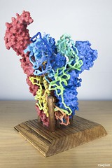 3D Print of MERS-CoV Spike. Original image sourced from US Government department: The National Institute of Allergy and Infectious Diseases. Under US law this image is copyright free, please credit the government department whenever you can&rdquo;.