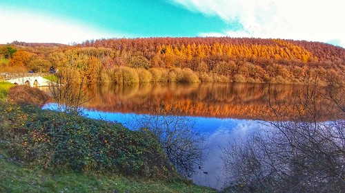 lindleywood thewashburnvalley leathley northyorkshire goodwalkingarea lovelyviews nature wildlife reservoirs autumncolours