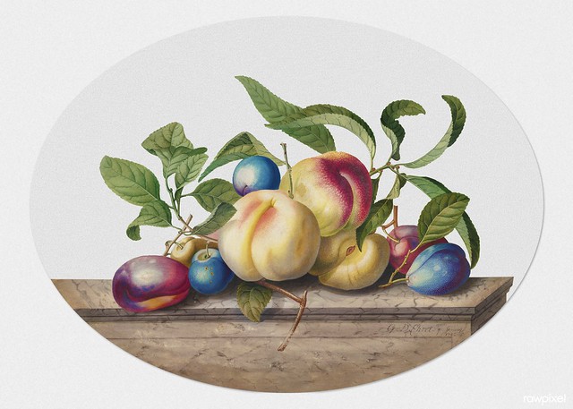Fruit Arrangement: Peaches and Plums on a Slab of Marble (1742) by Georg Dionysius Ehret. Original from The Cleveland Museum of Art. Digitally enhanced by rawpixel.