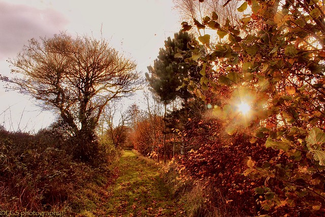 Late autumn afternoon ...
