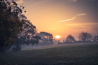 Abington Park Sunrise