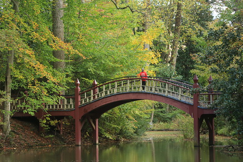 A campus visitor takes in the beauty of Crim Dell in the fall.