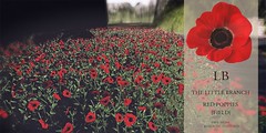 The Little Branch - Red Poppies{Field}- The Outlet