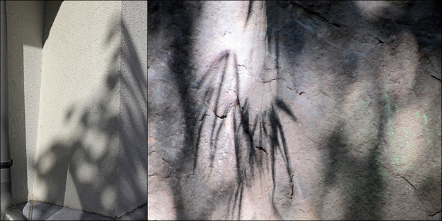 shadows on walls (Manfred Geyer / Ute Kluge)