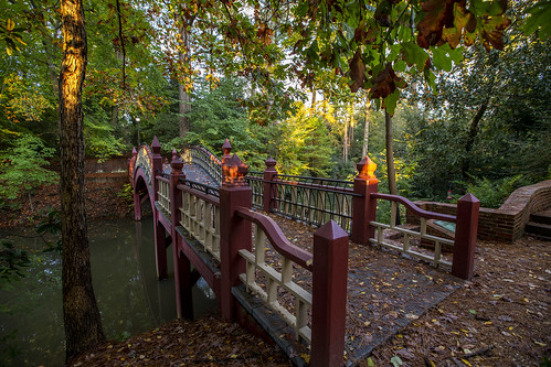 Leaves fall on the Crim Dell bridge.