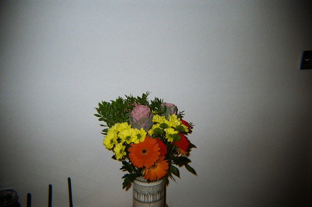 Flowers. SnapJack with ColorPlus 200