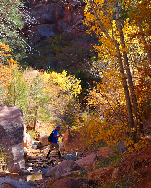 IMG_4242 Taylor Creek Trail, Zion National Park
