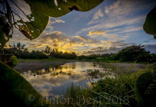 sunset reflection river pond dusk barbados stphilip riverplantation