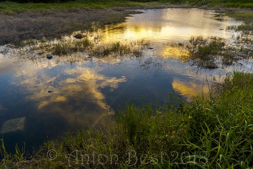 sunset dusk pond river reflection riverplantation stphilip barbados