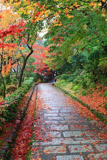 化野念仏寺 | 2020/11/20, 京都 | Eiichi Kimura | Flickr
