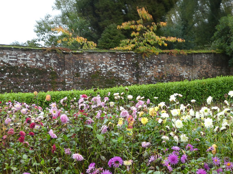 Walled garden in the Lost Gardens of Heligan