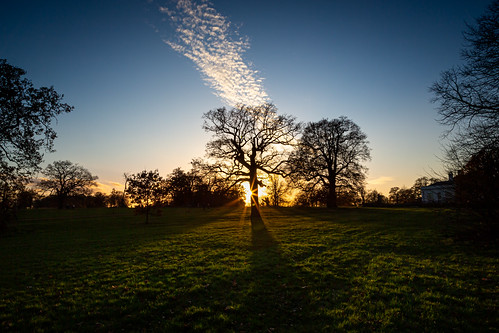 4star 2020 chelmsford evening hylandspark light november shadows silhouettes sky sunset trees