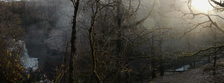 November morning, Mellte valley woods, study 3