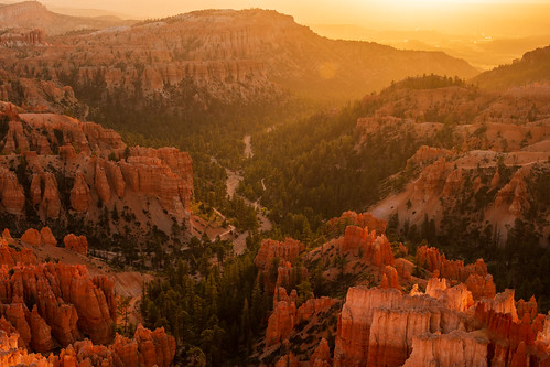 inspirationpoint view vista viewpoint overlook hoodoos colour orange sunrise dawn light nationalpark brycecanyonnationalpark brycecanyon utah ut unitedstates usa nikon d500 nikond500