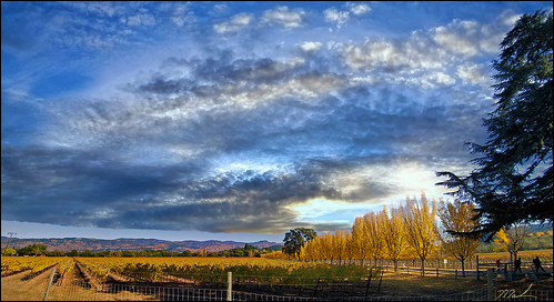 farnientewinery color fall vineyards clouds scenic landscape