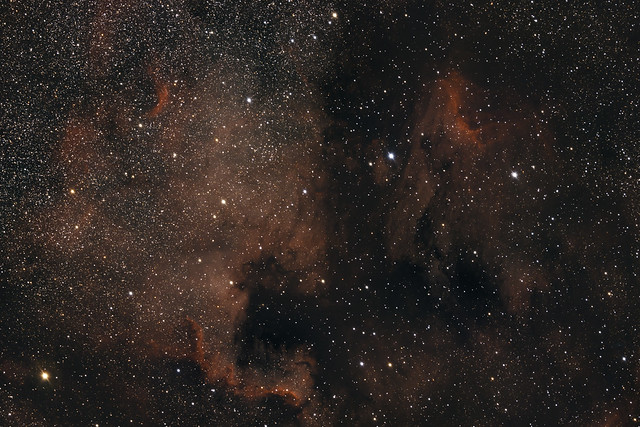 NGC7000 RASA 8