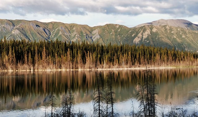 LIttle Salmon Lake on the Robert Campbell Highway. Yukon Territory, Canada.