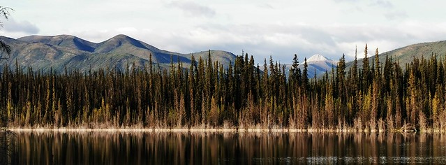 LIttle Salmon Lake on the Robert Campbell Highway. Yukon Territory, Canada.