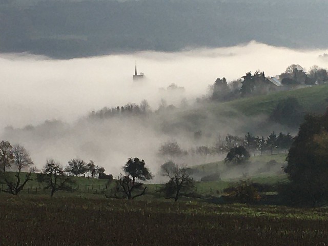 Gutweiler im Nebel