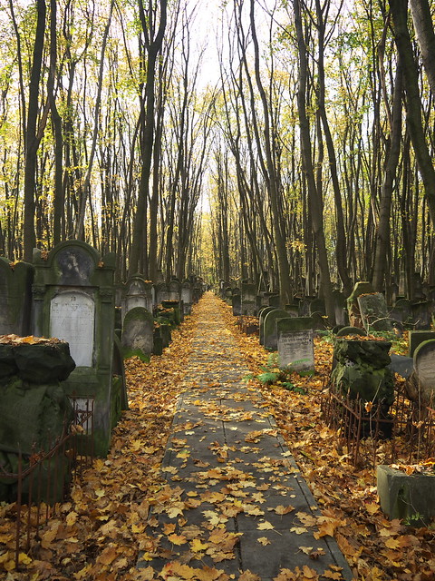 Jewish Cemetery in Autumn